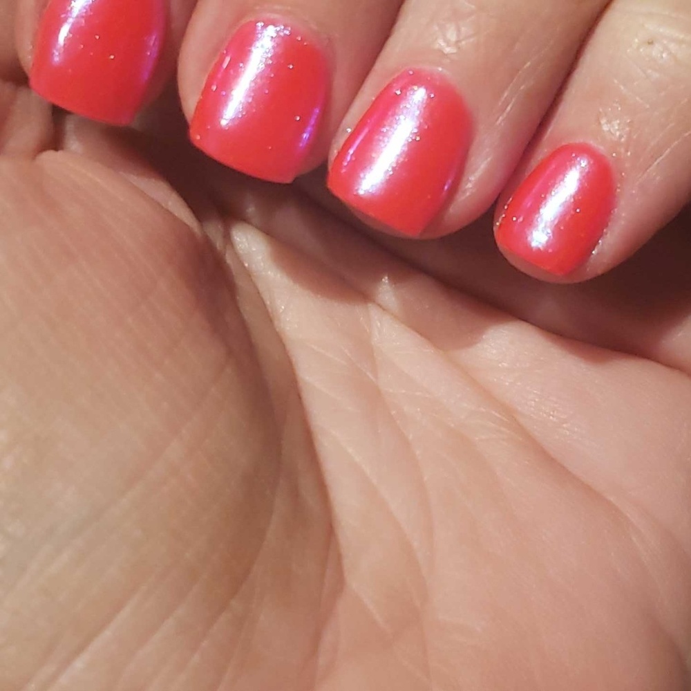 Meet your Posher, Shelly